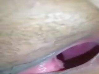 Pasarica închidere în sus (inside vedere de vagin)