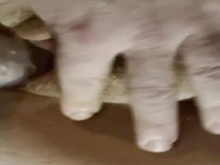 Strečink že těsný zrzavá kočička široký otevřeno: vysoká rozlišením pohlaví film 45 | xhamster