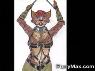 Animatie furry curve!