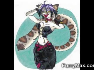 Hookerty furry rajzolt cats!