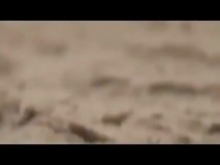 جمهور جنس فيلم حزب في ال عري شاطئ